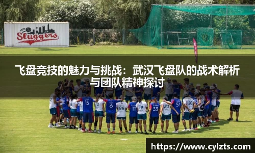 球速体育平台