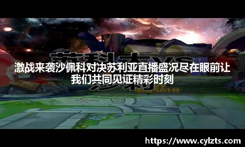 球速体育登录